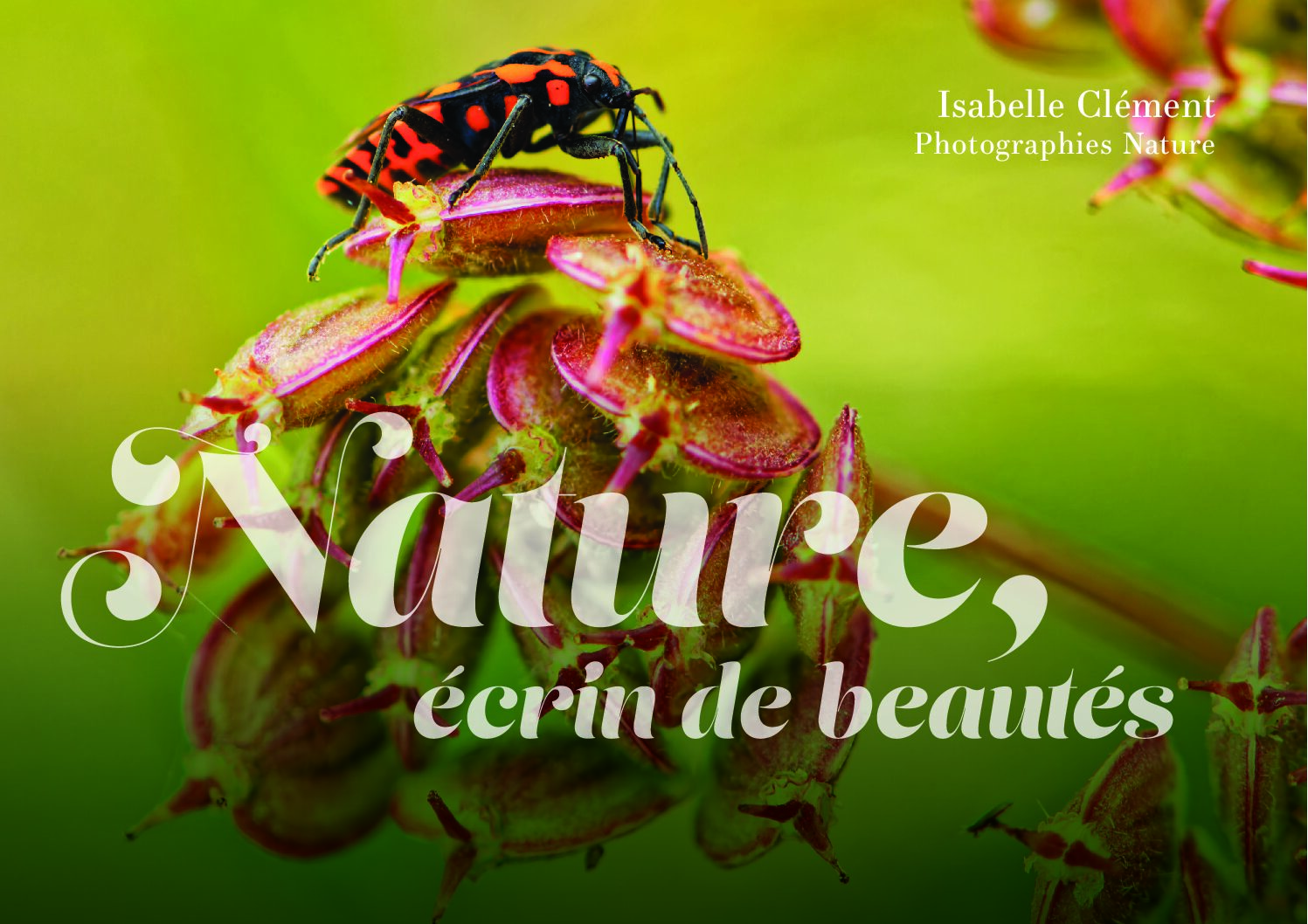 Livre "Nature, écrin de beautés"