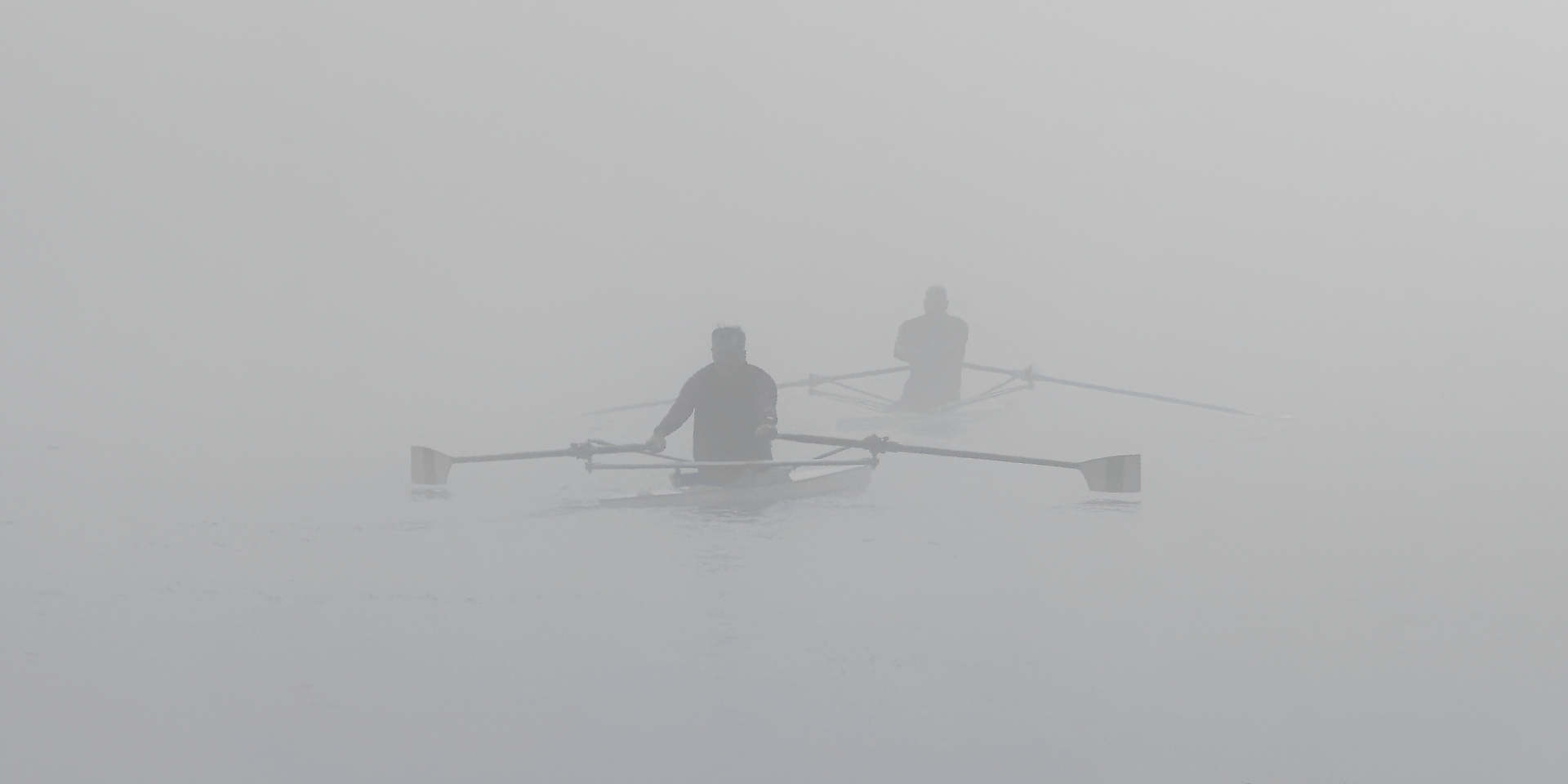 Avironistes dans le brouillard
